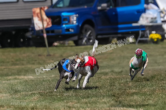 Prg 3, Race 9, Bibi Maybe Nami Rosie-2150