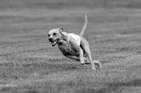 Prelims Zara-0807-2