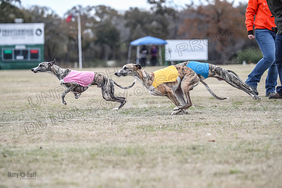 Finals Open 1 Steel Maverick Eggsy-3838
