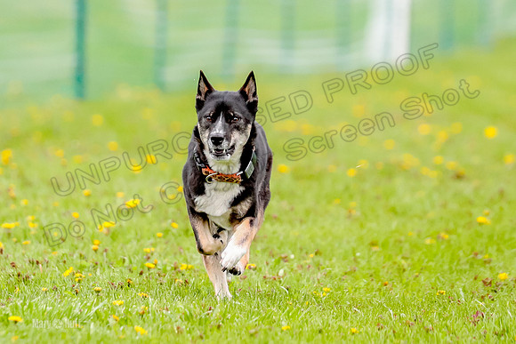 FCE4I7871