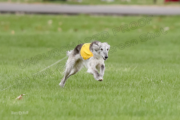 2 Finals Silken Singles Moonshine-0445
