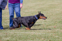 IMG_0204
