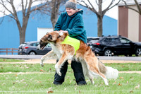 2 Finals Borzoi Open, Bene-9350