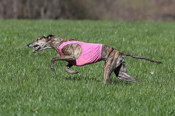 1 Prelim Fch B-5, Sealli Janey-3699