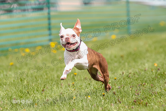 AE4I4159