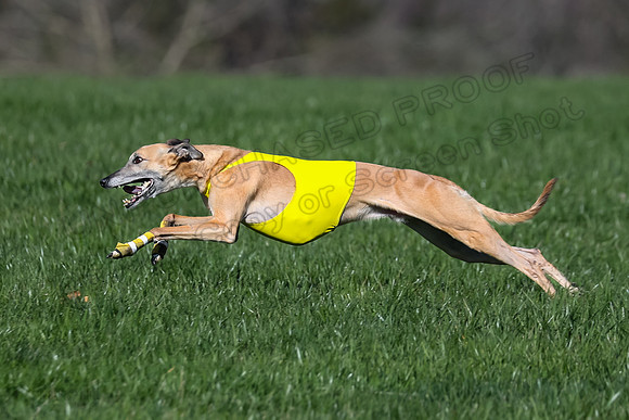1 Prelim Fch B-3, Vulcan Charlie Riggs-3642