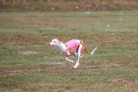 1 Prelims Fch 1 Penny Jadis Willow-5783