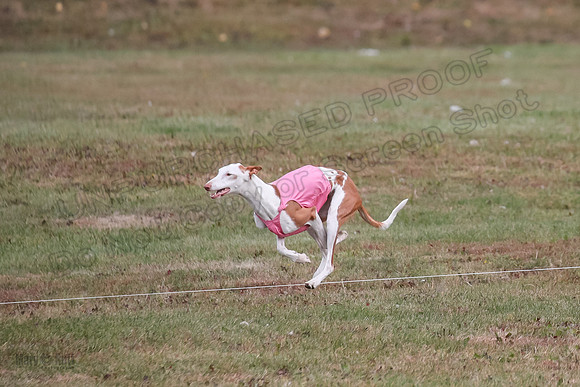 1 Prelims Fch 1 Penny Jadis Willow-5783