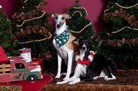 xmas strack-416