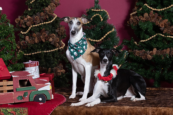 xmas strack-416