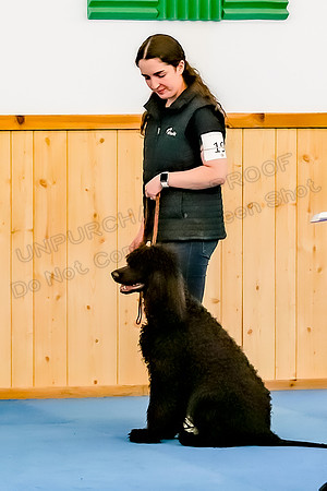 Rally Intermediate-3610