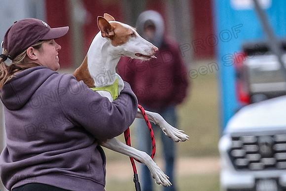1 Prelims Vet 1 Dawn Thea-5963