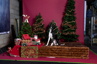 xmas strack-394