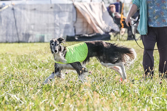 1 Prelims Vet Danni-5899