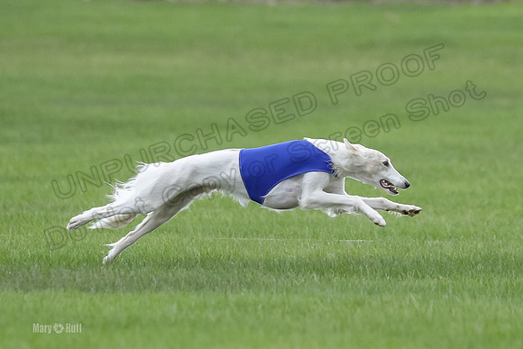 2 Finals Silken Singles Ripley-0485