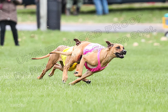 1 Prelim RR Open 2, Kinky Opal-9136