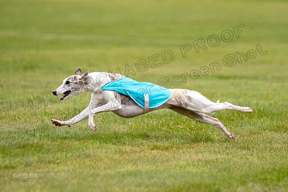 Prelims Misty-0639
