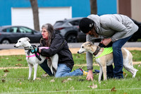 2 Finals Whippet Open, Reno Wyatt-9373