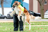 2 Finals Borzoi Open, Bene-9346
