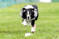 AE4I1723