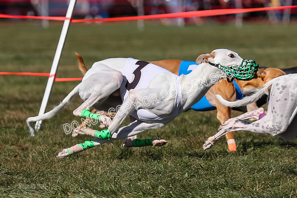 Prg 4, Race 13, oats Bookie Reas Rizzo-2772