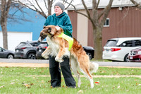 2 Finals Borzoi Open, Bene-9344