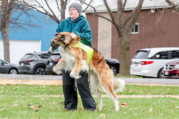 2 Finals Borzoi Open, Bene-9344