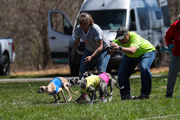 3 Finals Fch A-4, Prim Whisper Harley-5132