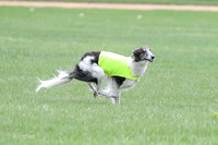 1 Prelims Fch, Finnegan Joker-9447