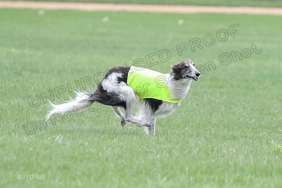1 Prelims Fch, Finnegan Joker-9447