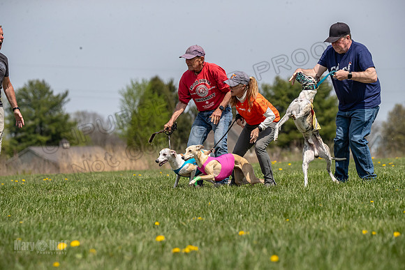 Finals Open F4 Easy Fenn Ace-3940