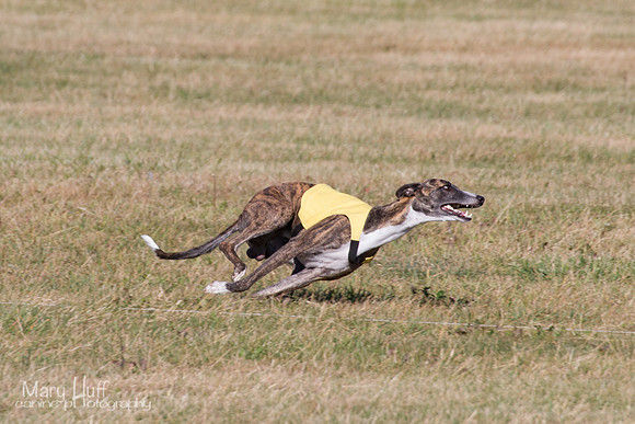 IMG_3041