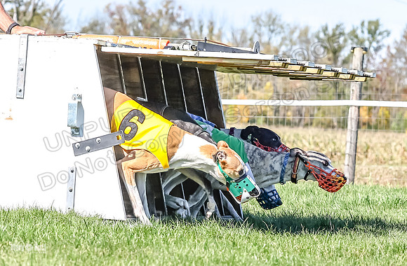 5C7A0608