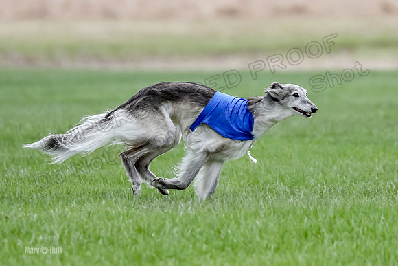 1 Prelims Silken Singles Moonshine-9837