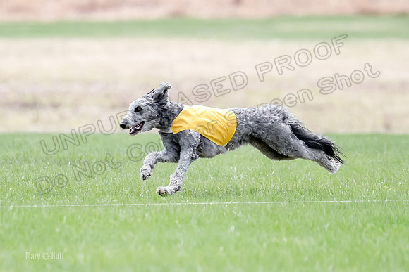 1 Prelims LCI Ellie-0031