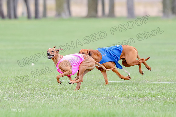 1 Prelim RR Open 1, Islay Kya Ace-9126