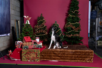 xmas strack-393