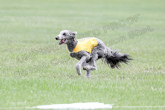 1 Prelims LCI Ellie-0040