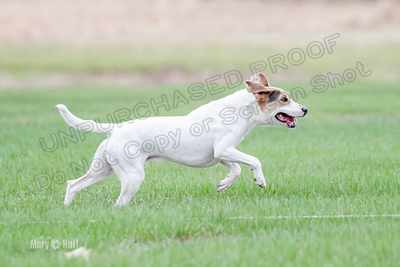AE4I7055