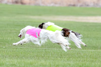 1 Prelims Fch, Finnegan Joker-9462