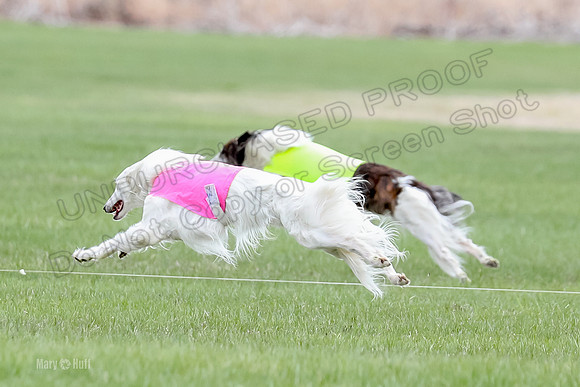 1 Prelims Fch, Finnegan Joker-9462