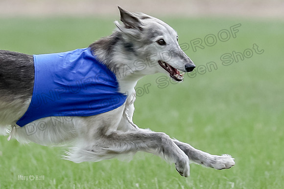 1 Prelims Silken Singles Moonshine-9838