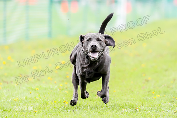 FCE4I7506