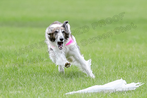 2 Finals Fch, Joker Finnegan-0117