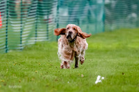 FCE4I6395