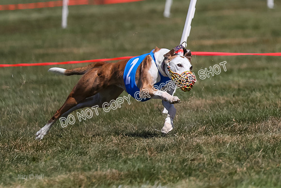 Prg 3, Race 6, Micky Sansa Power Arrow-2067-2