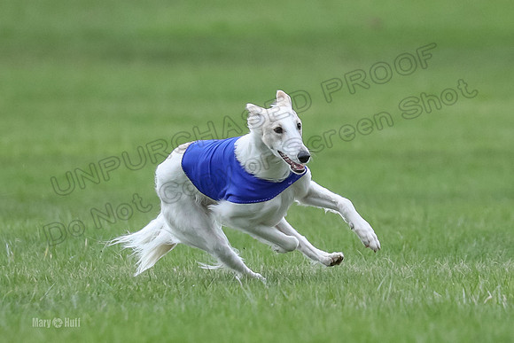 2 Finals Silken Singles Ripley-0488