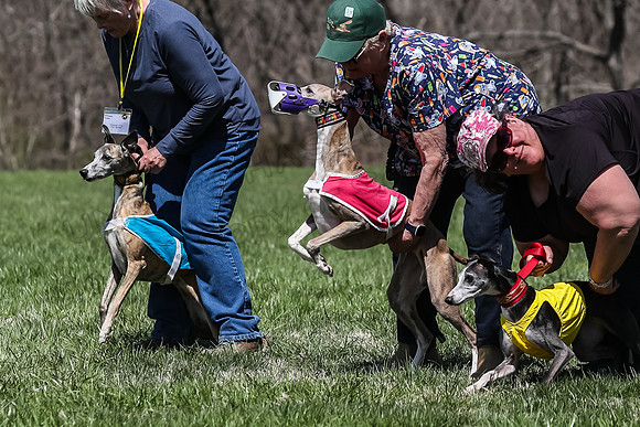 2 Finals Veterans A-4, Winnie Sonny Karmen-0972