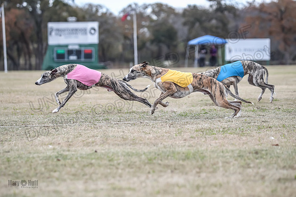 Finals Open 1 Steel Maverick Eggsy-3839