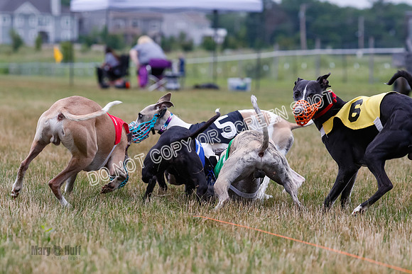 Prg 3, Race 4, Rowan-Jett-Blaze-Shimmy-Bogie-1155